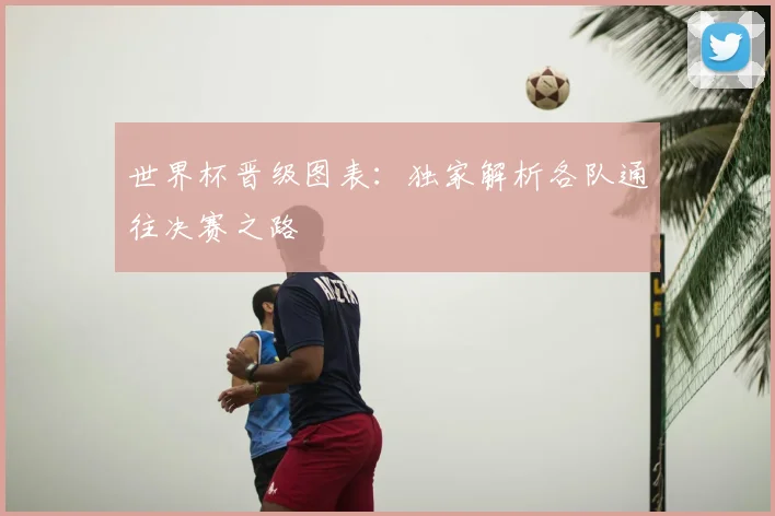 世界杯晋级图表：独家解析各队通往决赛之路