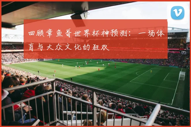 回顾章鱼哥世界杯神预测:一场体育与大众文化的狂欢