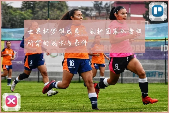 世界杯梦想成真：剖析国家队晋级所需的战术与条件