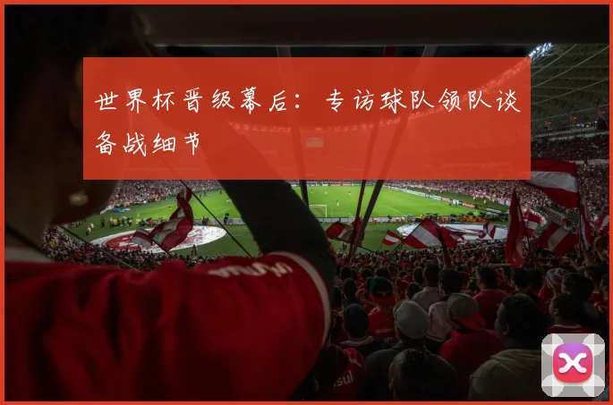 世界杯晋级幕后：专访球队领队谈备战细节