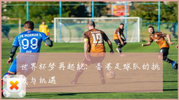 世界杯梦再起航：香港足球队的挑战与机遇