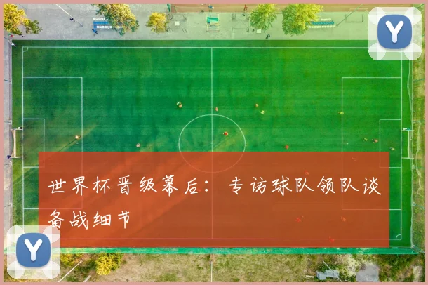 世界杯晋级幕后：专访球队领队谈备战细节