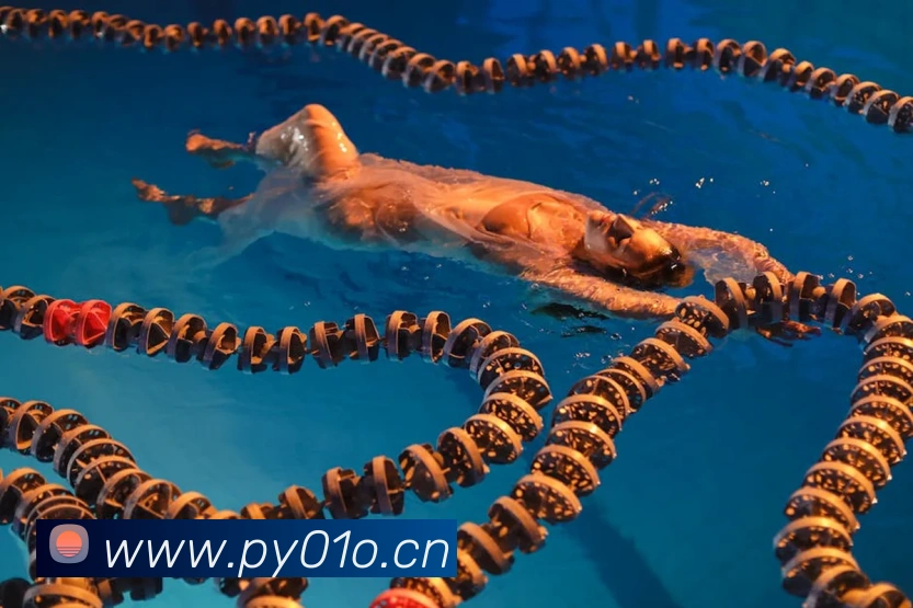 leyu乐鱼官方官网全站App